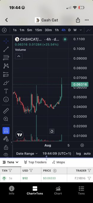 A cryptocurrency trading chart for 'Cash Cat' showing a recent +25.54% price increase to 0.06316 on a 4-hour timeframe, with a recent transaction recorded by trader F29B96.