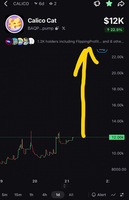 Cryptocurrency price chart for Calico Cat (BAQP) token showing $12K value with a 22.5% increase, featuring a hand-drawn yellow arrow pointing upward to highlight a price spike.