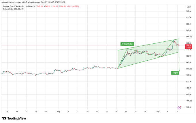 A TradingView chart of Binance Coin/TetherUS (BNBUSDT) from September 2020 features a drawn 'Rising Wedge' pattern with a target indicator.