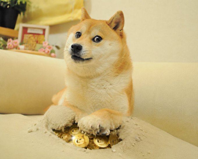 A Shiba Inu dog sits on a beige couch, resting its paws on a small sand pile that reveals several Dogecoin tokens underneath.