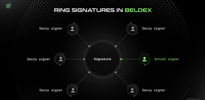 An infographic titled "RING SIGNATURES IN BELDEX" shows a central "Signature" circle connected to five "Decoy signer" icons and one highlighted green "Actual signer" icon.
