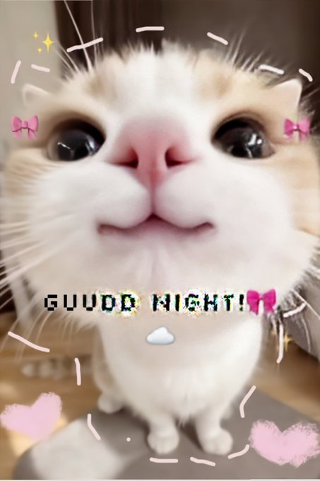 A close-up image of a cream and white cat looking up with wide eyes, decorated with digital sparkles, pink bows, and hearts, with pixelated text reading 'GUUUD NIGHT!' across its chest.