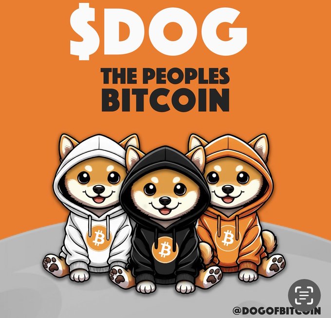 The image features three Shiba Inu dogs wearing hoods of different colors, sitting next to each other with their eyes closed. The background of the image is orange, which complements the white hoods of the dogs. The text "dog" appears multiple times in the image and at the bottom, along with a link to a website called Dogofbitc.com.