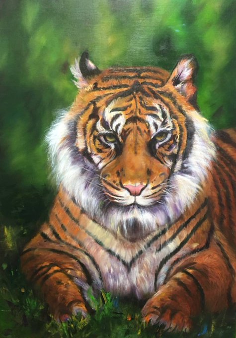 !!! Good Night Proud Tiger