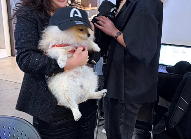 A fluffy white dog wearing a black cap with the "arc" logo is being held by a person in a black jacket, while another person beside them holds a black tumbler featuring the same "arc" branding. The image ties to the post by showing the "arc" company logo, humorously depicted on the office dog, fitting the joke about their potential "cashcat" mascot.