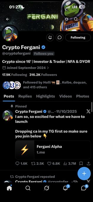 Screenshot of an X (Twitter) profile for 'Crypto Fergani' (@cryptofergani), displaying 316.2K followers, with a pinned post promoting 'Fergani Alpha' on Telegram.