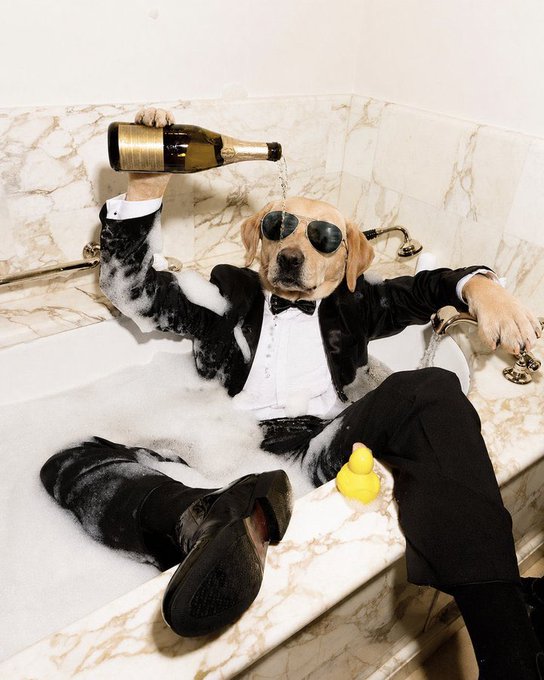 The image features a dog wearing a suit and tie sitting inside a bathtub filled with bubbles. The dog appears to be enjoying its time, possibly pretending to be a businessman or attending a fancy party. A bottle of champagne can also be seen near the dog in the tub, adding to the festive atmosphere.