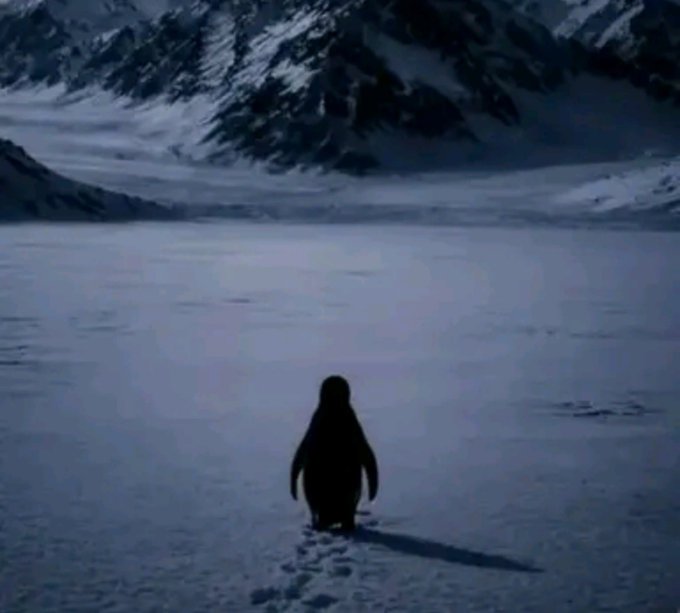 A lone penguin walks across a vast, snow-covered landscape toward distant snow-capped mountains, leaving footprints in its wake.
