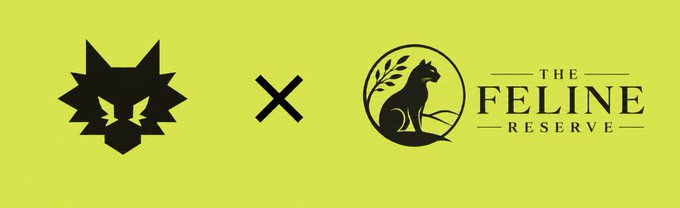 A bright yellow banner showing a black wolf-like logo on the left, an 'X' in the center, and 'THE FELINE RESERVE' logo featuring a black cat silhouette on the right.
