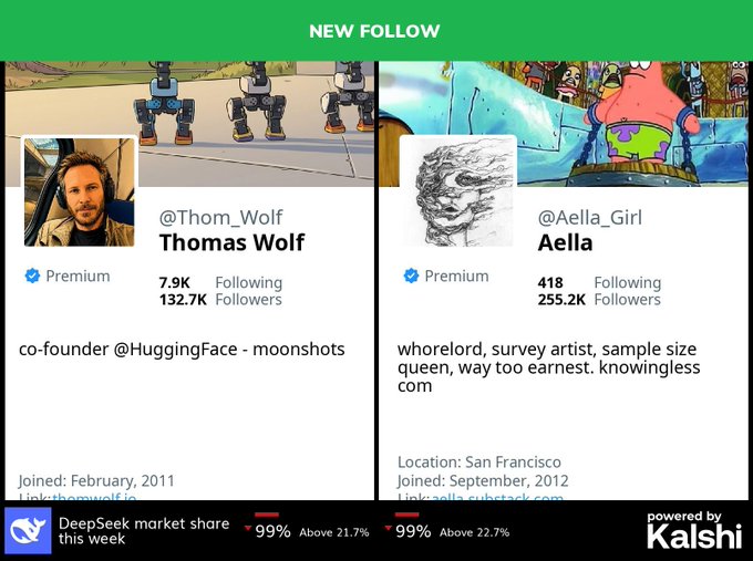 A social media graphic titled 'NEW FOLLOW' displays profiles for @Thom_Wolf (Thomas Wolf, co-founder of HuggingFace, 132.7K Followers) and @Aella (255.2K Followers), with a bottom banner showing DeepSeek market share statistics.