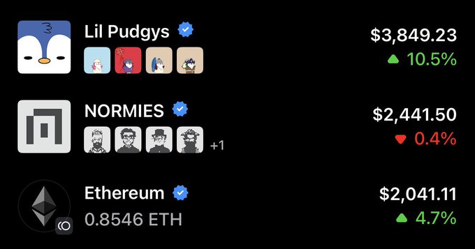 A dark-themed crypto portfolio dashboard showing Lil Pudgys valued at $3,849.23 (+10.5%), NORMIES at $2,441.50 (-0.4%), and Ethereum at $2,041.11 (+4.7%).
