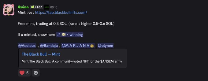 A Discord message from Quinn announces a free mint for "The Black Bull" NFT trading at 0.3 SOL (rare at 0.5-0.6 SOL), tagging users @Acolous, @Bandaju, @MARJANA, and @plynee to show their mints, which relates to the post congratulating four spot winners of the free mint.