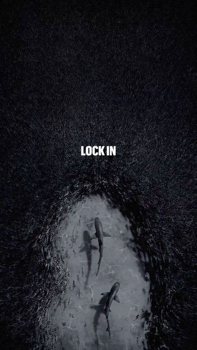 A dark, underwater-style image with two sharks swimming in a circular pool of light, overlaid with the words "LOCK IN" in bold white text.