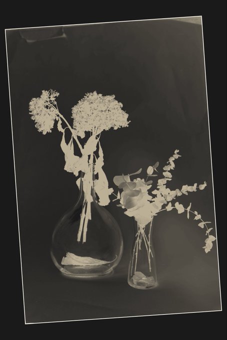 Sepia-toned photograph displayed as a tilted polaroid on a black background, depicting two glass vases containing dried flowers and eucalyptus branches.