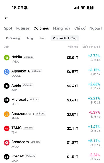 A smartphone screenshot showing a list of leading companies by market capitalization, including Nvidia, Alphabet, Apple, Microsoft, Amazon, TSMC, Broadcom, and SpaceX.