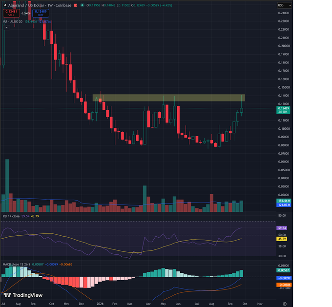 A TradingView weekly candlestick chart of ALGO/USD on Coinbase showing price around $0.12481, with RSI and MACD indicators displayed below.