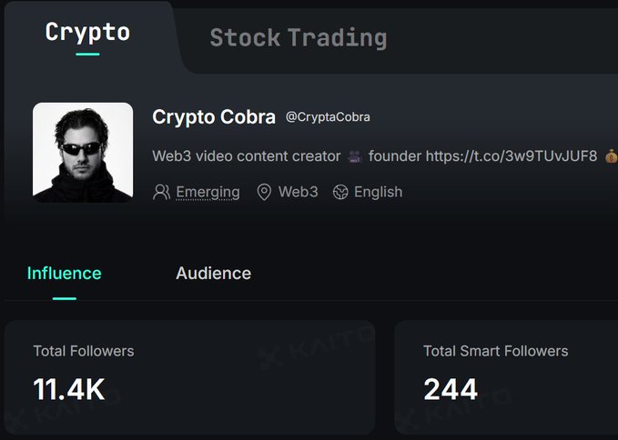 A profile page for Crypto Cobra (@CryptoCobra) on what appears to be the Kaito platform, labeled under 'Crypto' tab, showing 11.4K total followers and 244 total smart followers.