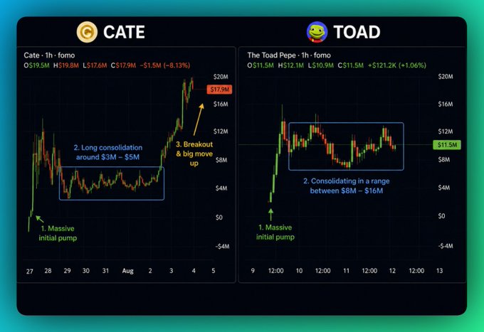 Two side-by-side trading charts comparing memecoins: 'CATE' (Cate - 1h) showing a massive pump, long consolidation around $3M-$5M, and breakout to $17.9M (+8.13%), and 'TOAD' (The Toad Pepe - 1h) showing a pump followed by consolidation between $8M-$16M at $11.5M (+1.06%).