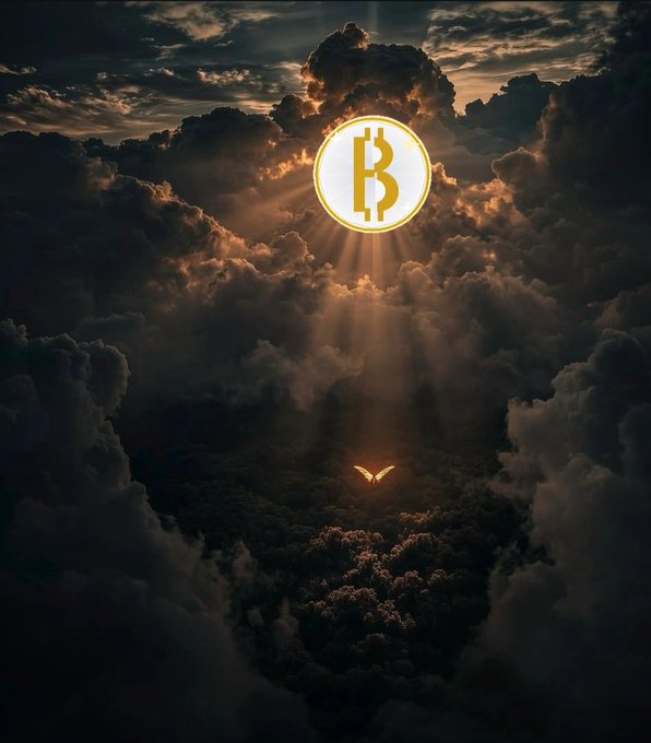 A dramatic illustration featuring a glowing Bitcoin symbol in the clouds with sun rays shining down onto a dark forest landscape, where a small glowing figure with wings hovers.