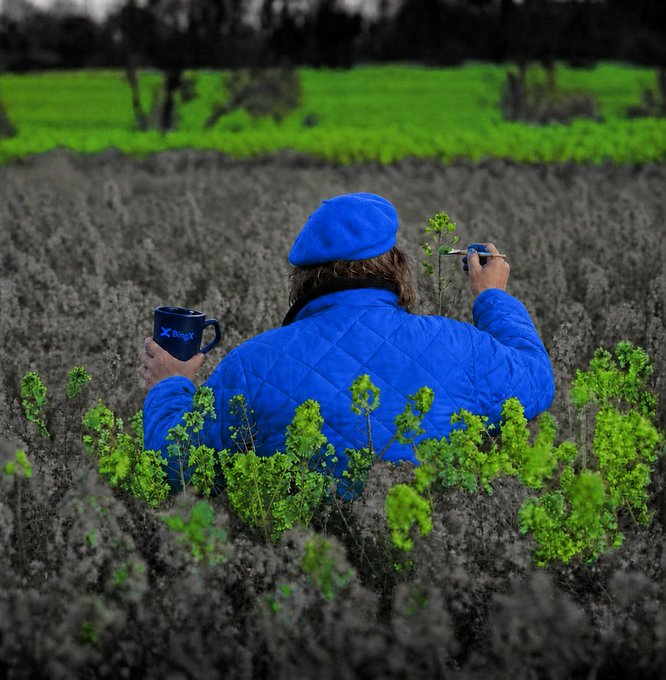A person in a blue beret and quilted blue jacket sitting in a field of dark heather with a BingX mug, holding a paintbrush.