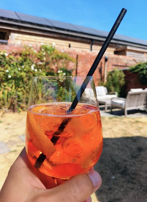 A hand holds a glass of orange Aperol Spritz with a black straw in a sunny garden setting.