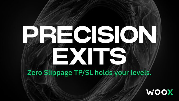 The image features a black background with white text that reads "Precision Exits" followed by an explanation of Zero Slippage TP/SL, which is used for setting a surgical Stop Loss during a liquidation cascade. The text also mentions that the loss protection mechanism protects your realized PnL where it counts and is related to the Woox platform.