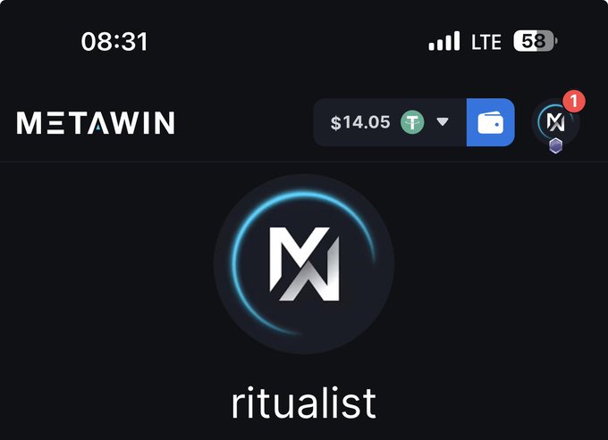 A mobile screenshot displays the MetaWin casino interface showing a balance of $14.05 in Tether (USDT), with the user's username "ritualist" featured prominently below the MetaWin logo. The post expresses the user's hope to win a MetaWin giveaway, likely referencing one of the platform's promotional events shown in the top-right notification badge.
