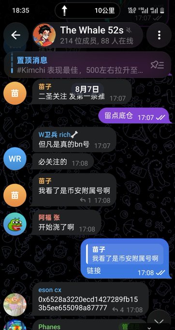 A Telegram group chat screenshot from "The Whale 52s" (214 members, 88 online) showing members discussing a trade on Kimchi premium stocks, with user "苗子" sharing a view stating "Leave cheap positions" and noting a target of approximately 500, while user "W卫乒rich" references a personal account "bn" — connecting to the post's mention of jumping in at the service area for an official perspective with a posted wallet address 0x244b112cf746e62a5df723cbde9906a6defd7777.
