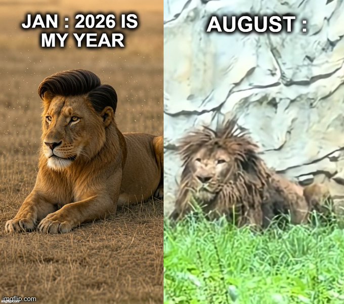 A split-screen meme showing a majestic, well-groomed lion labeled 'JAN : 2026 IS MY YEAR' next to a scruffy, unkempt lion labeled 'AUGUST :'.