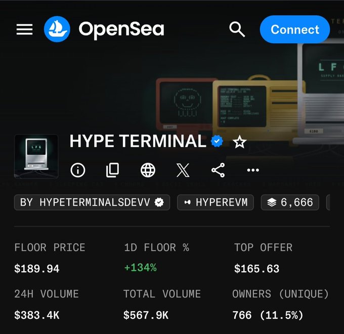 An OpenSea NFT marketplace page showing the 'HYPE TERMINAL' collection by HYPETERMINALSDEVV with a floor price of $189.94, 24H volume of $383.4K, and 766 unique owners.