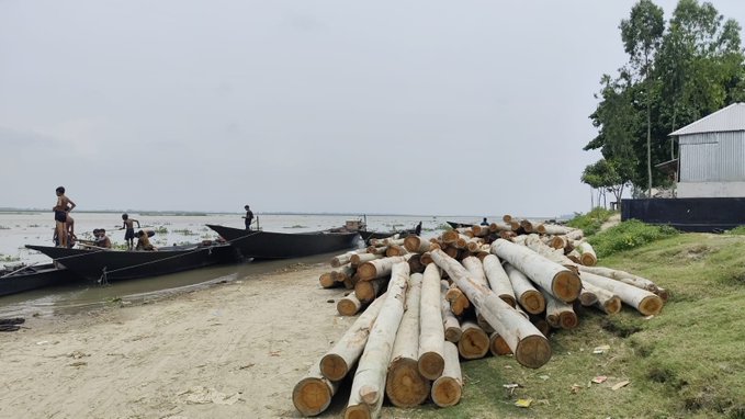 A stack of freshly cut logs rests on a riverbank beside several wooden boats and workers, while a metal-sided building stands under a cloudy sky in the background.

The image of raw timber being unloaded along a quiet riverbank evokes the grassroots, resource-driven spirit behind the post's message about community-building and laying the foundation for larger growth within the CNPY Network ecosystem.