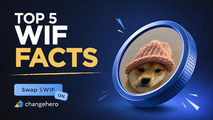 A promotional graphic titled "TOP 5 WIF FACTS" featuring a Shiba Inu dog in a pink knit hat displayed on a coin, with text prompting users to "Swap $WIF ON changehero." The image relates to the post about dogwifcoin ($WIF), showcasing the iconic Achi Shiba Inu mascot that originated from an esports meme and ties into the brand's trivia-style content about the token's history.