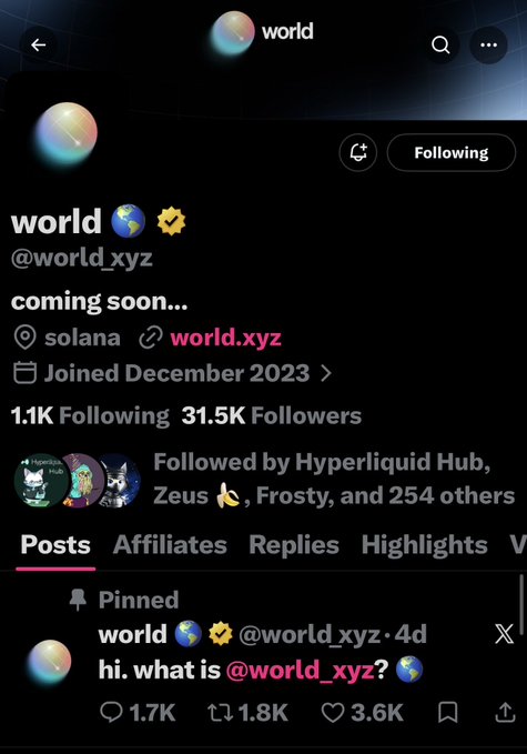 The image shows the X (formerly Twitter) profile page of "world" (@world_xyz), featuring a globe emoji 🌐 and sunflower 🌻, with "coming soon..." in the bio and a link to world.xyz. It has 31.5K followers, is followed by notable accounts like Hyperliquid Hub and Zeus, and displays a pinned post asking "hi. what is @world_xyz?" with 1.7K replies, 1.8K reposts, and 3.6K likes—reflecting the community's curiosity and speculation about the mysterious project that paid $80,000 for the world.xyz domain.