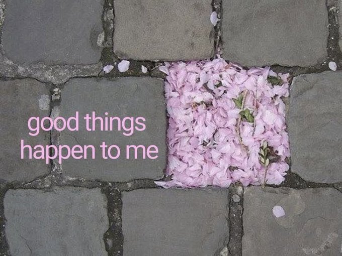 Pink flower petals fill a square gap between gray cobblestones, with the text "good things happen to me" overlaid in pink on the left side.