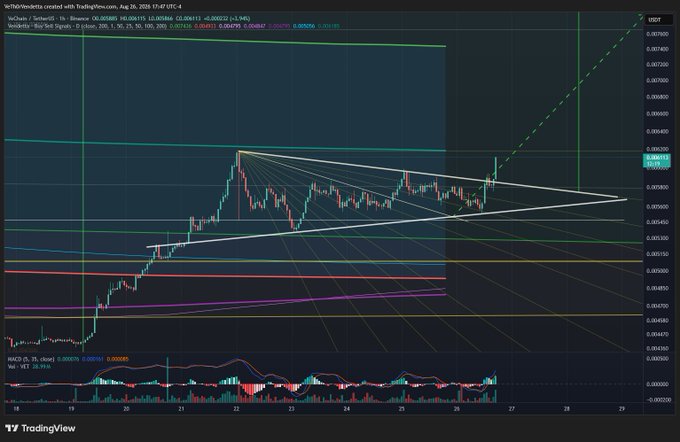 A VeChain (VET/USD) 1-hour TradingView chart shows price action consolidating within a descending wedge/triangle pattern after a recent rally, with key support near the 0.02514 level and resistance around 0.02650, visually illustrating the "flanking" breakout attempt and bullish charge toward the 200-day moving average referenced in the caption.