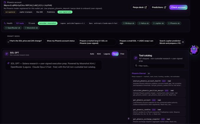 Screenshot of the Phoenix account dashboard showing health status, provider (Moonshot), and a tool catalog with Phoenix External functions like analyze_phoenix_account_health and calculate_phoenix_position_margin.