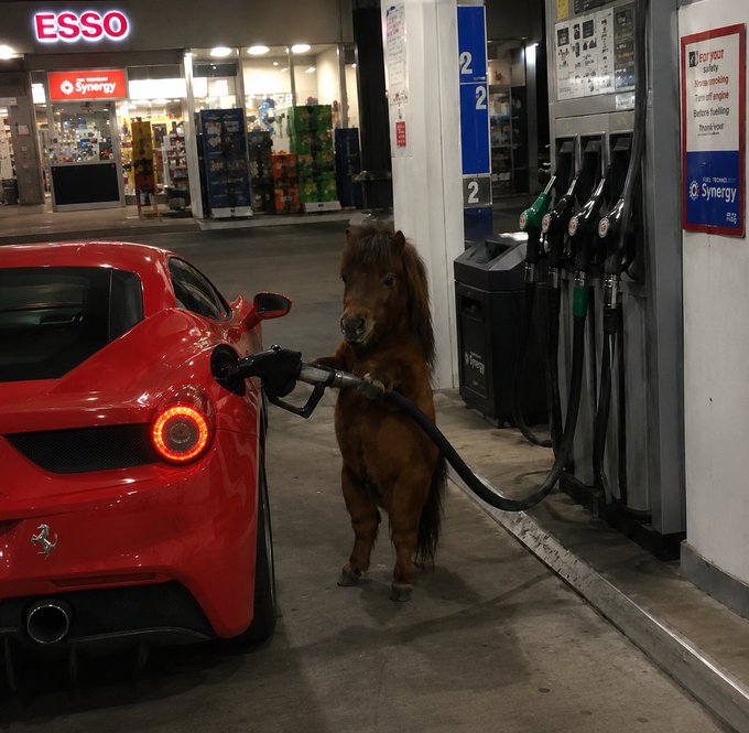 A humorous photo of a small brown pony standing on its hind legs at an ESSO gas station, holding a fuel nozzle inserted into a red Ferrari.