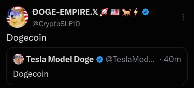 A tweet from 'DOGE-EMPIRE.X @CryptoSLE10' about Dogecoin is quoted by 'Tesla Model Dog @TeslaMod...' saying 'Dogecoin'.