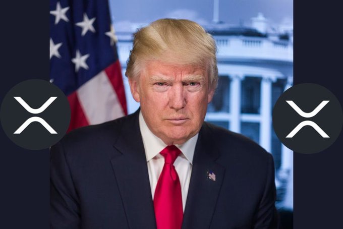 A portrait of Donald Trump flanked by two XRP logos.
