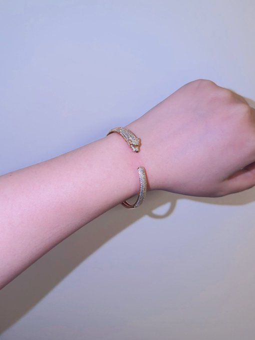 A person's arm wearing a gold and silver jeweled snake-shaped bracelet against a plain white background.