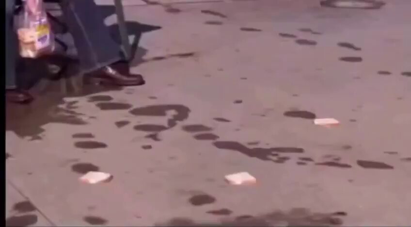 The image shows a person standing next to a sidewalk with two pieces of bread lying on the ground, possibly from a sandwich that was dropped or thrown away. The scene also includes a water puddle nearby, which could be due to rain or another source of moisture. The image is related to the post because it features an advertisement for LI.FI, a cryptocurrency exchange platform that aggregates various cryptocurrencies and stablecoins into one place, potentially offering users better trading options and lower fees compared to traditional exchanges.