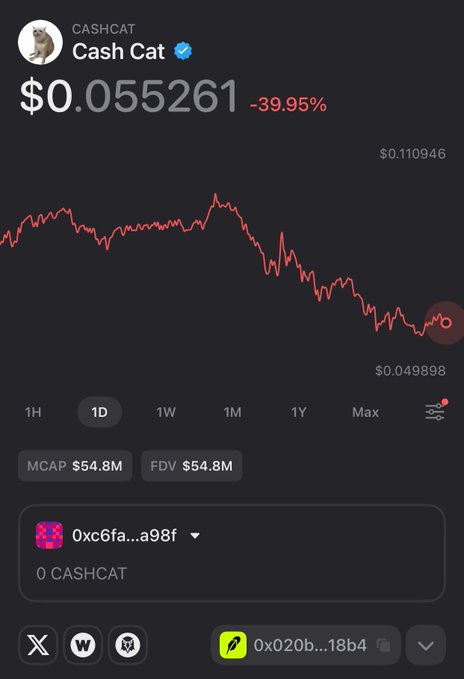 A crypto price chart for CASHCAT shows a value of $0.055261, down 39.95%, with a steep downward trending red line over the 1D timeframe.