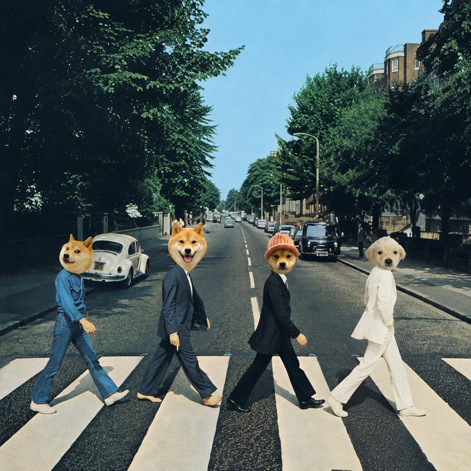 Four Shiba Inu dogs, styled as a humorous parody of The Beatles' iconic "Abbey Road" album cover, walk across a zebra crossing in suits and casual attire, evoking nostalgia tied to the viral $DOGS meme and Dogecoin culture.