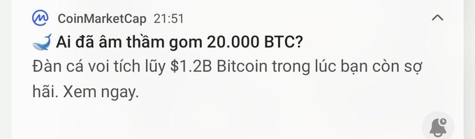 A CoinMarketCap Telegram notification in Vietnamese asks "Ai đã âm thầm gom 20,000 BTC?" (Who quietly accumulated 20,000 BTC?) and teases that whales stockpiled $1.2B in Bitcoin while retail investors were fearful, matching the post's reference to IntoTheBlock data showing large wallets adding 19,760 BTC during the April 2024 market crash.