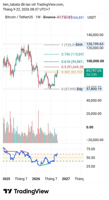 A TradingView Bitcoin/TetherUS weekly chart on Binance showing key Fibonacci retracement levels (0.786 at $110,895, 0.618 at $99,587, 0.5 at $91,645, 0.382 at $83,702) with current price around $85,797.