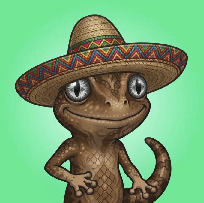 A cartoon illustration shows a smiling lizard or gecko with large reflective eyes wearing a colorful patterned sombrero against a solid green background.