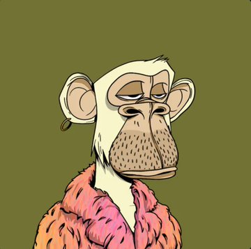 A digital illustration of a bored-looking cartoon monkey with a gold earring, wearing a pink fur jacket against an olive green background.
