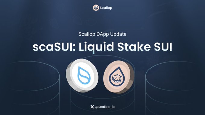 Promotional graphic for Scallop DApp announcing the 'scaSUI: Liquid Stake SUI' update, featuring the Scallop logo and @Scallop_io Twitter handle.