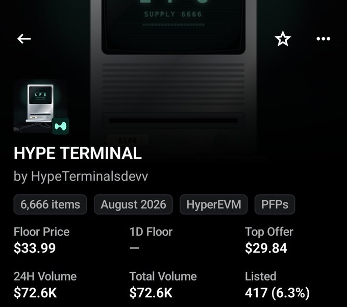 An NFT marketplace listing shows 'HYPE TERMINAL' by HypeTerminalsdevv with 6,666 items, a floor price of $33.99, top offer of $29.84, and 24H volume of $72.6K.