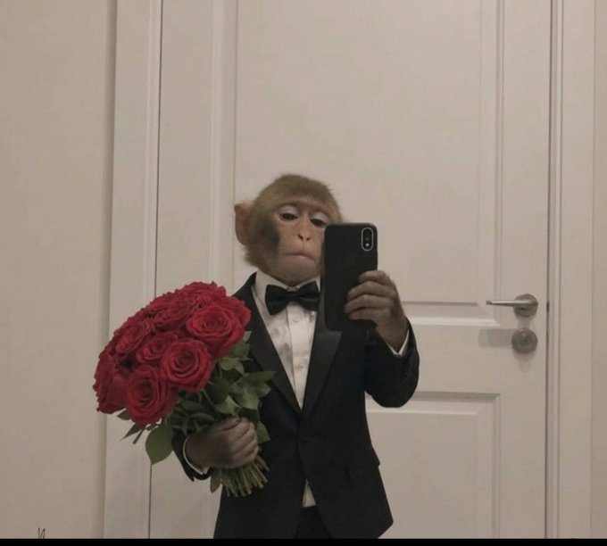 A monkey dressed in a black tuxedo with a bow tie takes a mirror selfie with a phone while holding a bouquet of red roses.